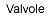 valves